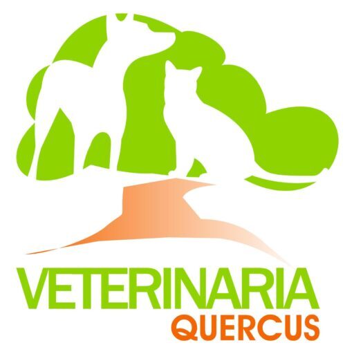 Veterinaria Quercus